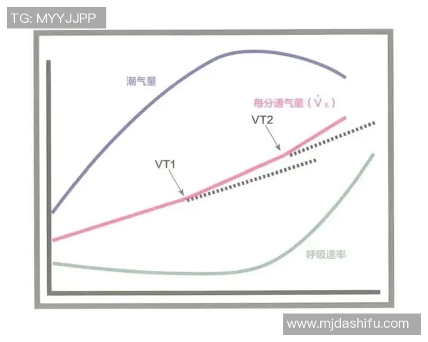 以有氧运动为核心提升身体素质与健康水平的全方位方法解析
