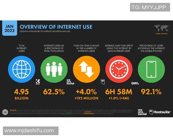 深入探讨Instagram数据分析背后的实力与表现解析