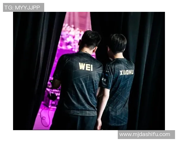 RNG战队协作解析：从团队配合看英雄联盟中的胜利之道